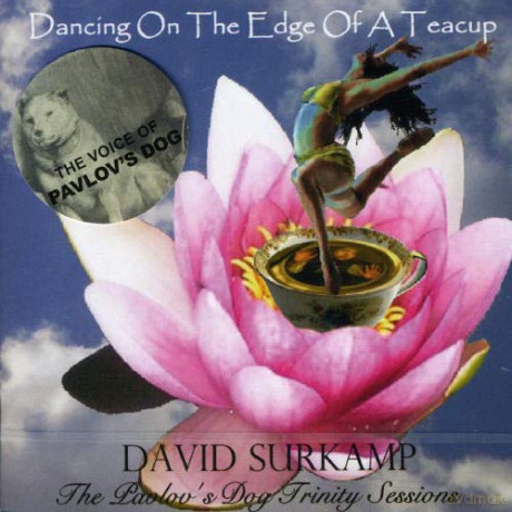David Surkamp: Dancing On The Edge Of A Teacup [CD]