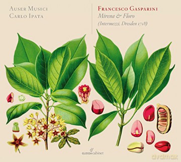 Francesco Gasparini (1661-1727): Dori e Daliso (Duett fur Sopran,Alt,Violinen,Bc) [CD]