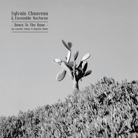 Sylvain Chauveau: Down To The Bone (An Acoustic Tribute To Depeche Mode) [CD]