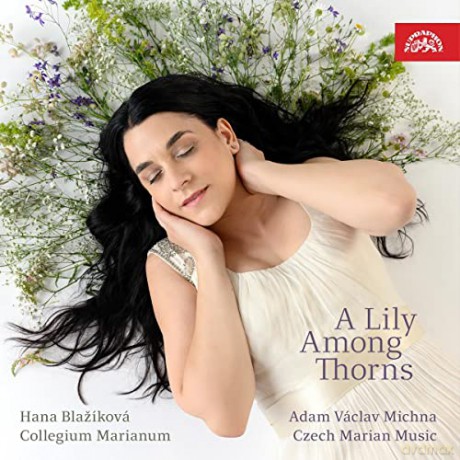 Adam Michna z Otradovic (1600-1676): Hana Blazikova - A Lily Among Thorns [CD]