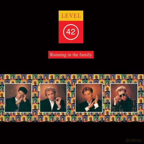 Level 42: Running In The Family [CD]