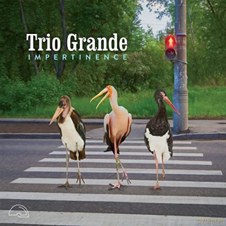 Trio Grande: Impertinence [CD]