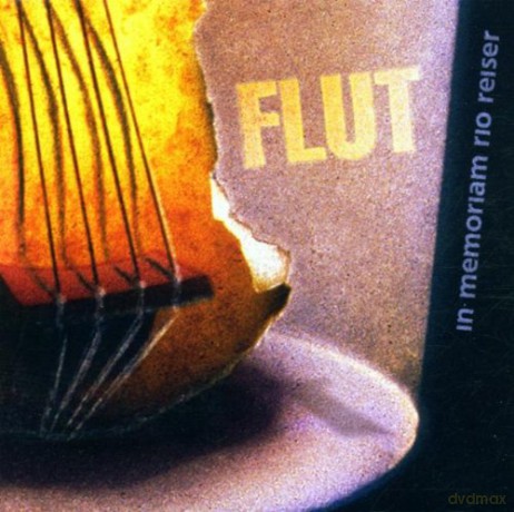 Flut: In Memoriam Rio Reiser [CD]