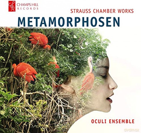Richard Strauss (1864-1949): Kammermusik Metamorphosen [CD]