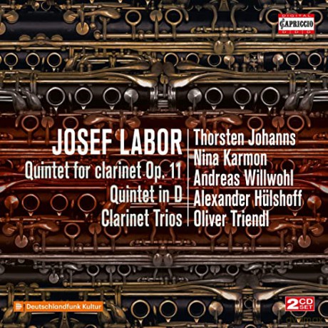 Josef Labor (1842-1924): Klarinettenquintett D-Dur op.11 [2CD]