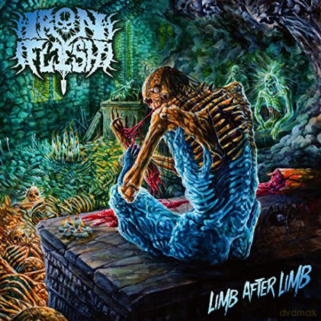 Iron Flesh: Limb After Limb [CD]