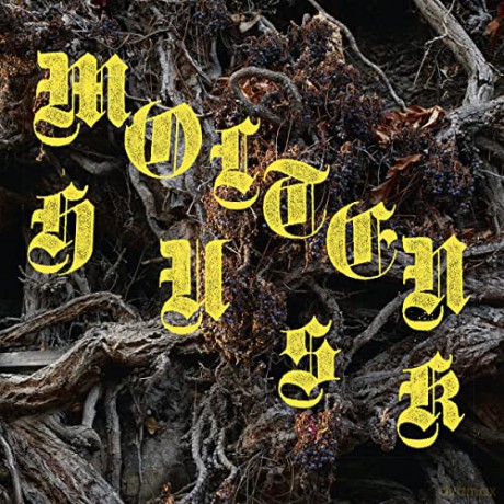 Abest: Molten Husk [CD]