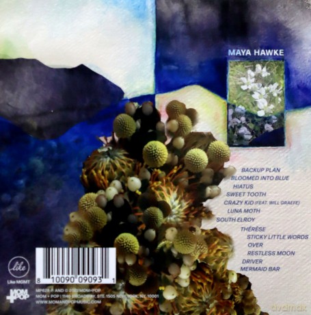 Maya Hawke: Moss [CD]
