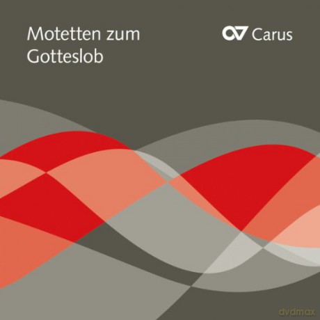 Motetten zum Gotteslob [CD]