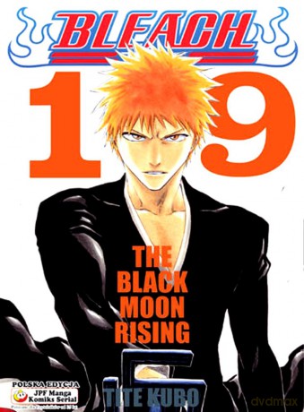 Bleach (Tom 19) - Tite Kubo [KOMIKS]