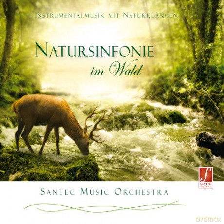 Santec Music Orchestra: Natursinfonie im Wald (Instrumentalmusik) [CD]