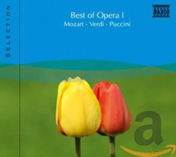 Naxos Selection: Best of Opera Vol.1 [CD]