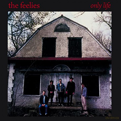 The Feelies: Only Life [CD]