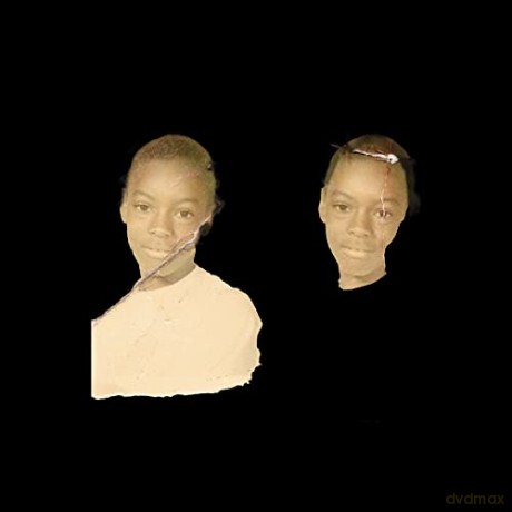 Vince Staples: Ramona Park Broke My Heart [CD]