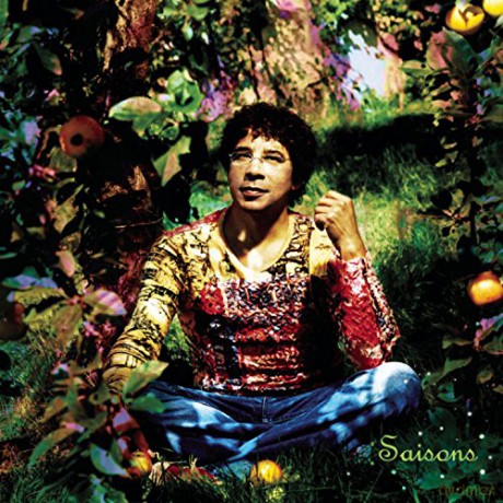 Laurent Voulzy: Saisons [2CD]