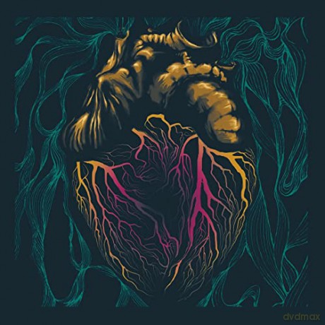 The Shadow Lizzards: Someone's Heartache [CD]