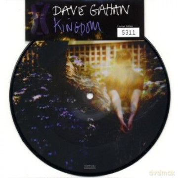 Dave Gahan: Kingdom (2 Track) [Winyl]