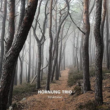 Hornung Trio: Strukturen [CD]