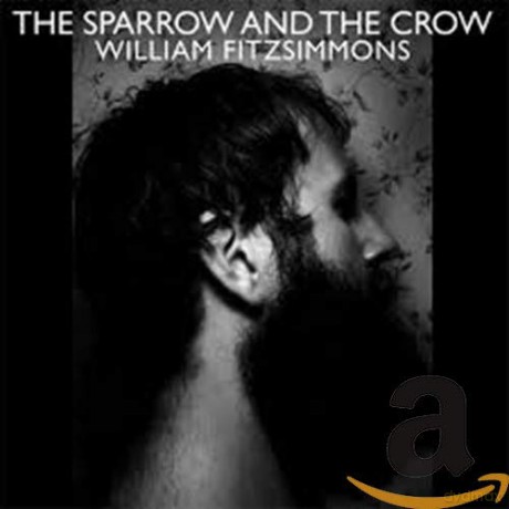 William Fitzsimmons: The Sparrow And The Crow [CD]