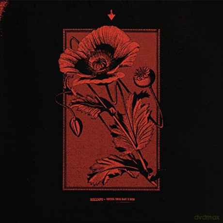 Kollaps: Until The Day I Die [CD]