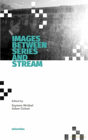 Images Between Series and Stream [KSIĄŻKA]