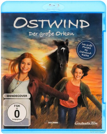 Windstorm: The Great Hurricane (Wicher: Ostatni rozdział) [Blu-Ray]