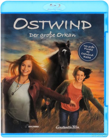 Windstorm: The Great Hurricane (Wicher: Ostatni rozdział) [Blu-Ray]