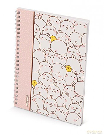 NICI DIN A5 spiral note pad checked Molang 80 pages