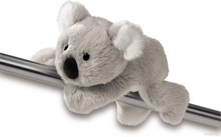 MagNICI Koala Kaola magnes 12 cm