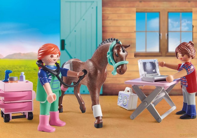 Playmobil Zestaw Country 71241 Pani weterynarz