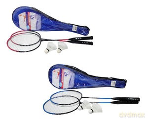 Badminton w siatce