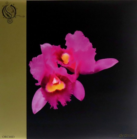 Opeth: Orchid (Red) [2xWinyl]