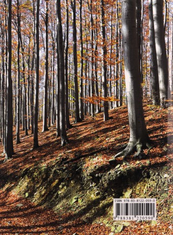 Beskid Śląski. Przewodnik - Mirosław Barański [KSIĄŻKA]