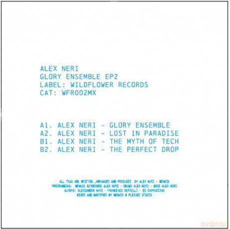 Alex Neri: Glory Ensamble EP 2 [Winyl]