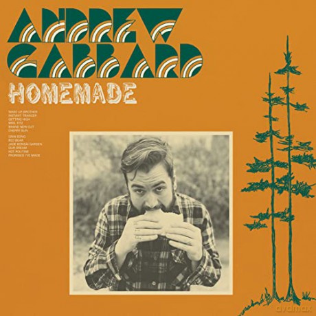 Andrew Gabbard: Homemade [Winyl]