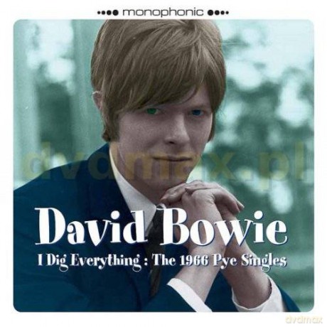 David Bowie: I Dig Everything [CD]
