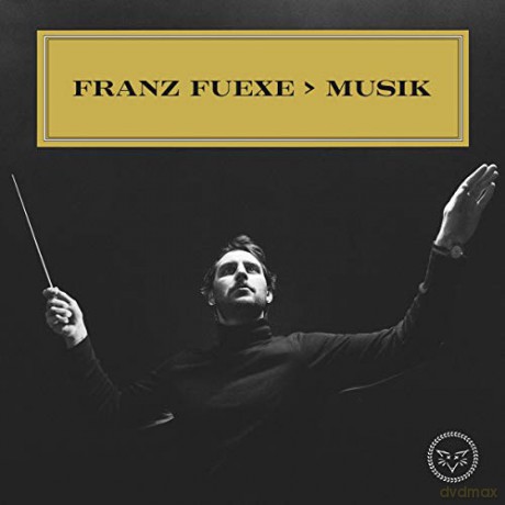 Franz Fuexe: >Musik [Winyl]