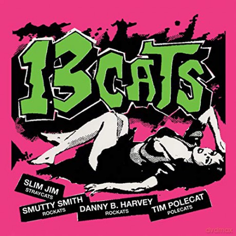 13 Cats: 13 Tracks [Winyl]