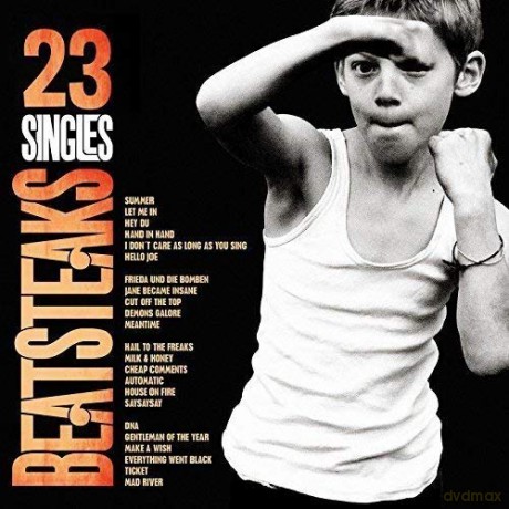 Beatsteaks: 23 Singles [2xWinyl]