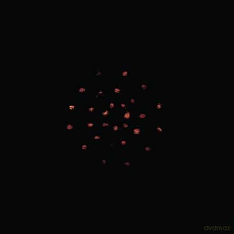Zoviet*France: 7.10.12 [Winyl]