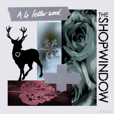 Shop Window: A 4 Letter Word [Winyl]