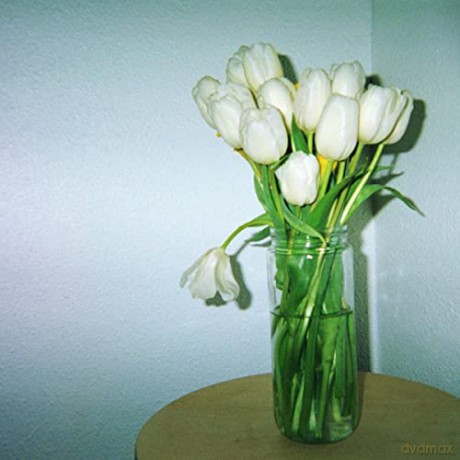 Claire Rousay: A Heavenly Touch [Winyl]