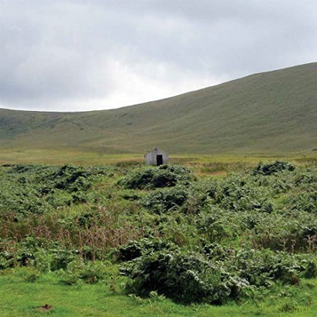 Zoviet*France: A Long Walk [Winyl]