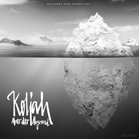 Koljah: Aber der Abgrund [Winyl]