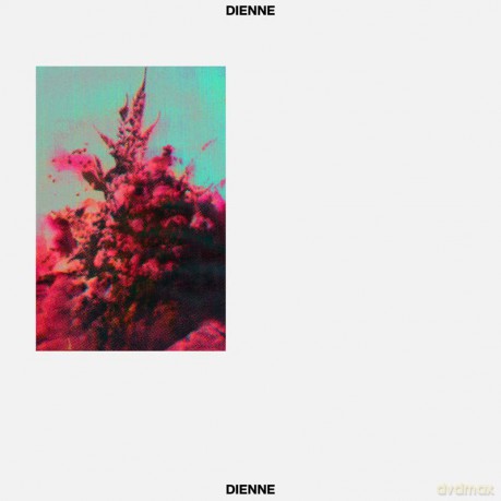 Dienne: Addio/Édition [Winyl]