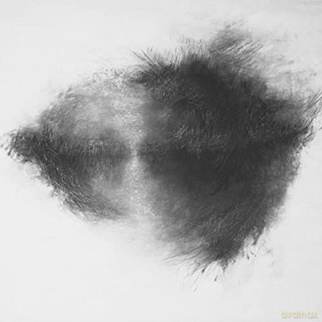 Mirah: Advisory Committee/Vinyle Couleur [Winyl]