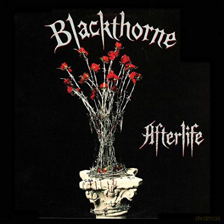 Blackthorne: Afterlife [2xWinyl]