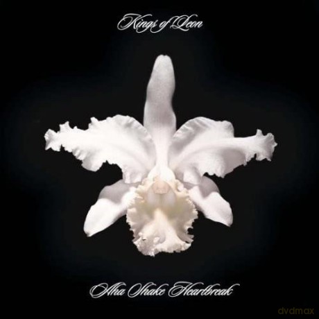 Kings of Leon: Aha Shake Heartbreak [2xWinyl]