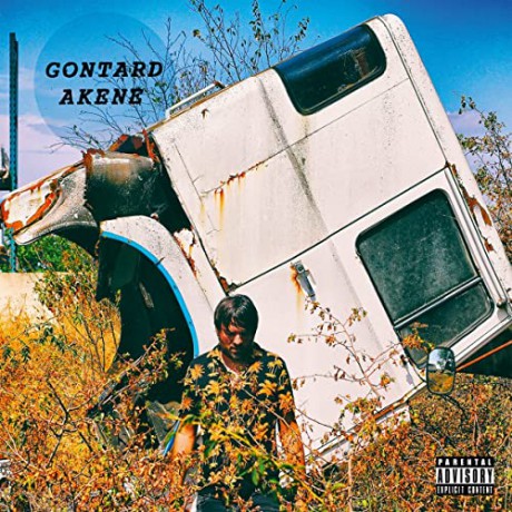 Gontard: Akene [Winyl]