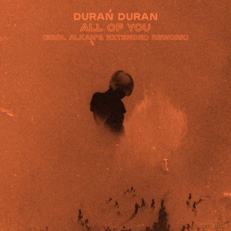 Duran Duran: All of You (Erol Alkan's Extended Rework) [Winyl]